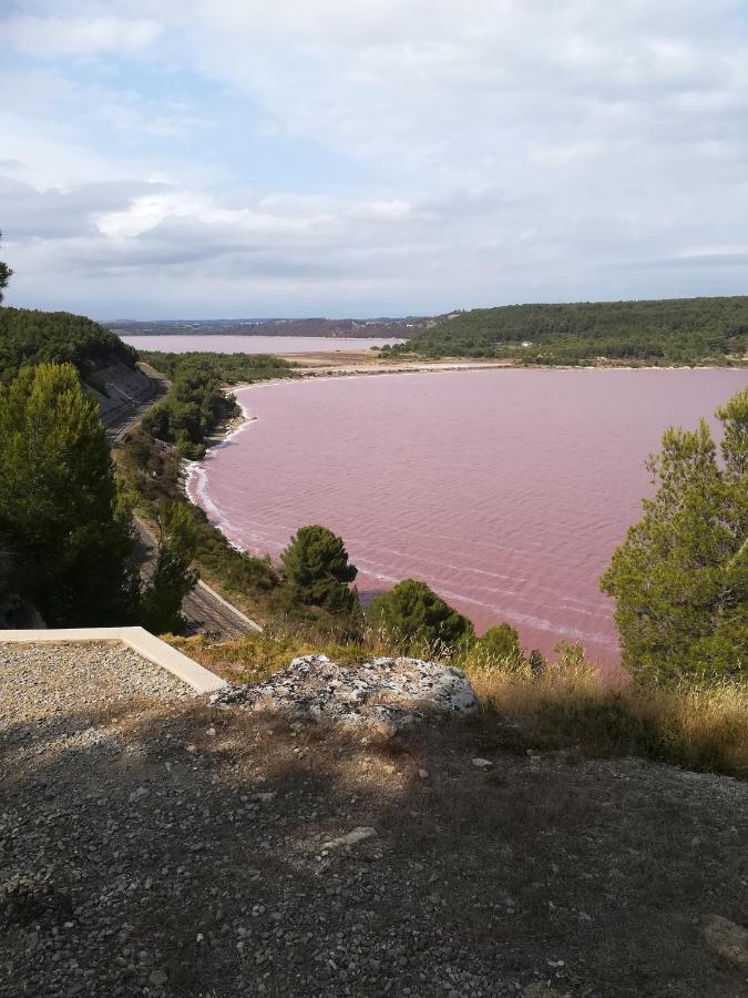 Chez Fanny Chambres D'Hotes Fos-sur-Mer Kültér fotó